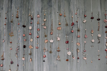 Beautiful background of dried flowers. pattern made of dried roses. Flowers composition. Romantic postcard