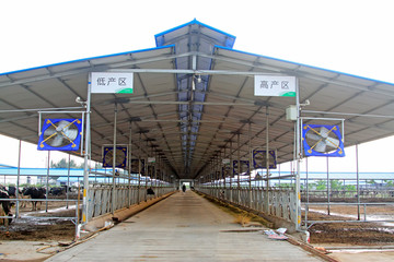 Aoben dairy farm building landscape, China.