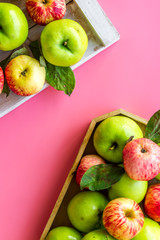 Autumn composition with fresh apples on pink background top view copy space