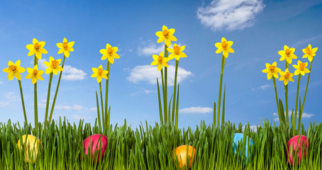 Ostereier und Narzissen