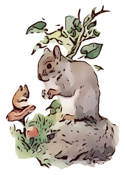 Hamster and squirrel, vintage children’s book illustration,set of cartoon animals