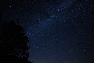 Milky Way starry night with tree silhouette