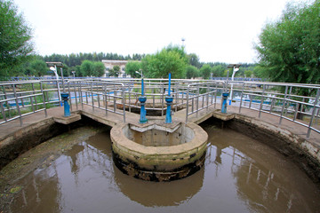 Sewage treatment plant distribution well