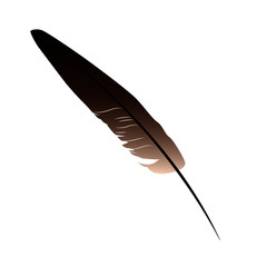 feather realistic vector illustration isolated