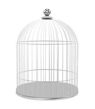 realistic vector illustration isolated cage bird