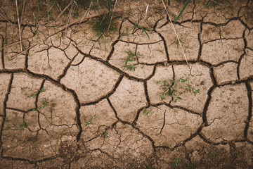 dry cracked earth
