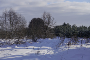 Beautiful winter landscape on a background of trees and forest. Christmas and New Year mood. Snowfall and the view as in a fairy tale