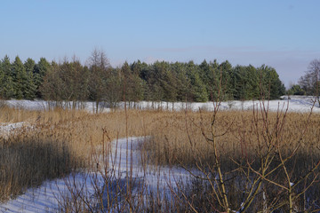 Beautiful winter landscape with a snowy river and lake. Christmas and New Year theme