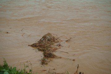 Flood damage caused by typhoon 19 