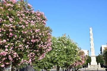 Public garden in Lecce