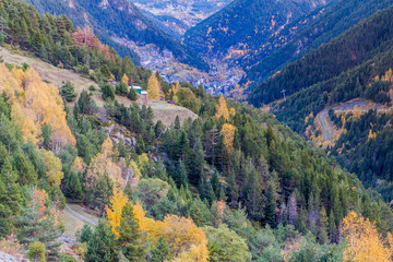 Forests of Arinsal valley in Andorra