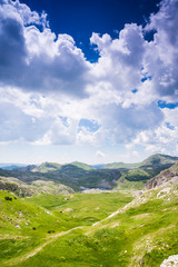 Fototapeta premium Field and blue sky