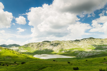 Landscape with field and lake