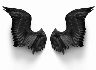 Fotobehang pairs of black devil wings isolate with clipping path on white background © OHishi_Foto