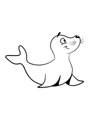 Seehund meer wasser süss lieb lustig kind schwimmen Pazifik atlantik witzig 1c