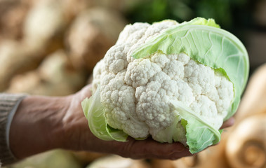 Close up of the hand holding cauliflower on the market