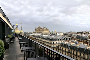 Printemps Haussmann, paris, france, Palais Garnier roof, panorama, landscape, town, architecture, building, city, landmark, exterior,