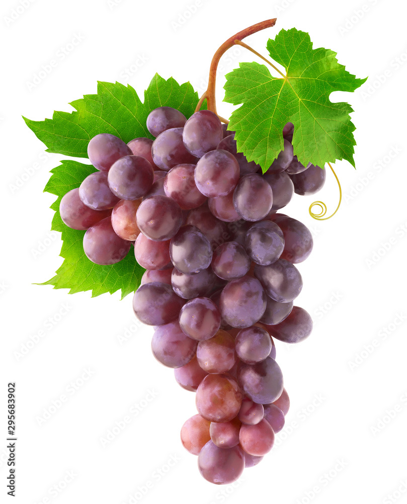 Fototapete Isolated grapes. Bunch of red grapes hanging on vine with leaves isolated on white background with clipping path