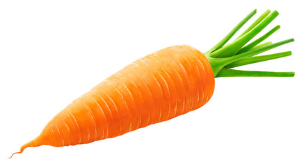 One whole carrot isolated on white background