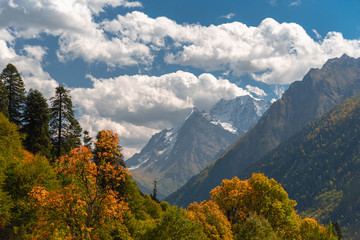 Autumn landscape, mountains with blue sky surrounded by yellowing trees, Dombay Caucasus