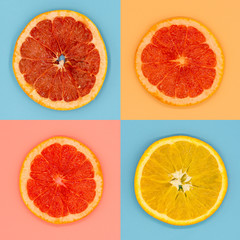 citrus slices on colored backgrounds