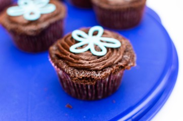 cupcake with icing