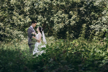 Wedding walk in the summer forest. Wedding photo shoot in summer. Newly married couple.