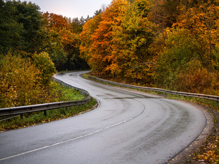 Road in the autumn forest in rain. Asphalt  road in overcast rainy day. Twisting roadway with trees in kaliningrad region. Empty highway in fall woodland.