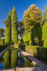 Jardines del Generalife gardens at Alhambra in Granada, Spain