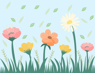  Flowers in the garden.Daisies, other flowers and green grass in the meadow. The leaves are blown in the morning.