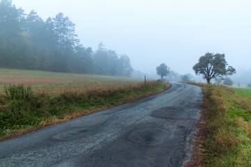 Morning autumn fog on country road. Autumn weather. Dangerous road. Foggy day.