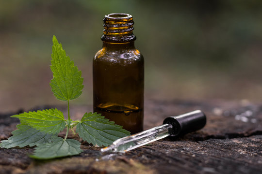 bottle of essential oil with flowers