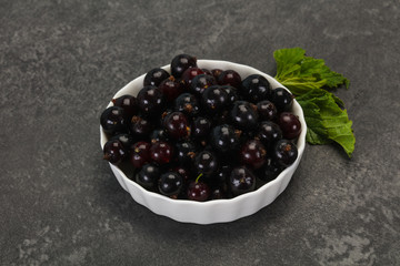 Fresh ripe sweet black currant