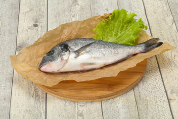 Raw Dorada fish  for cooking