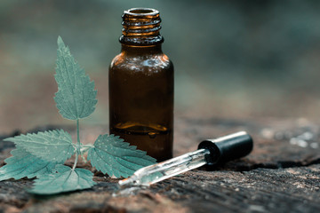 bottle of essential oil and flowers stinging nettle oil dropper modern apothecary