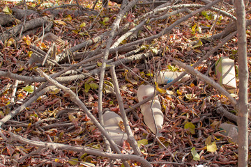 Old plastic bottles in the wild. Environmental pollution, environmental disaster.