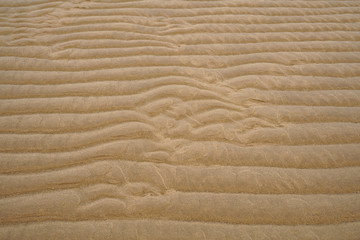 Tidal mudflats of the Wadden Sea at low tide. Natural patterns are formed in the sand. UNESCO World Heritage, North Sea, Europe.