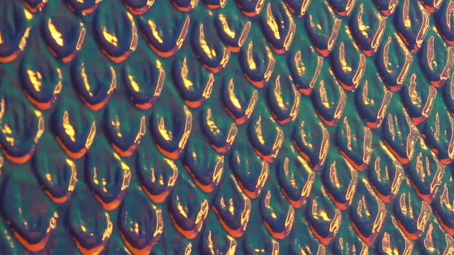 Colorful exotic snakeskin texture. Holographic scaly snake skin texture, pearly iridescent background
