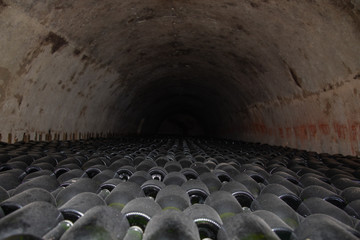 Cellar 