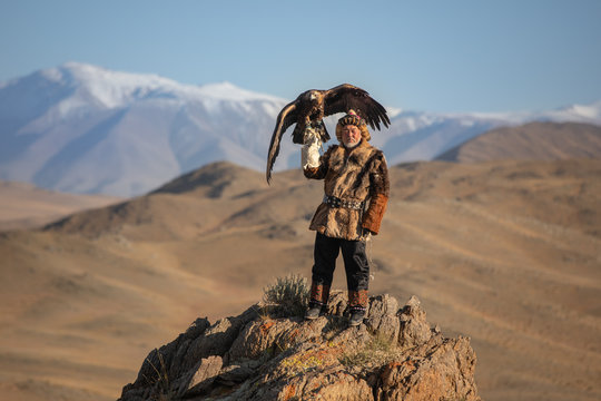 Old traditional kazakh eagle hunter posing with his golden eagle in the mountains. Ulgii, Western Mongolia.