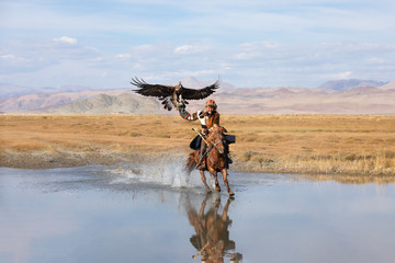 Kazakh eagle hunter galloping through shallow river water with his golden eagle. Ulgii, Western...