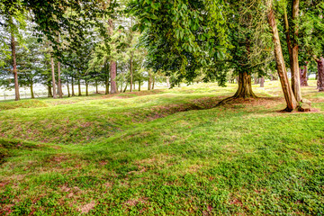 Preserved battlefields at Beaumont Hamel memorial.