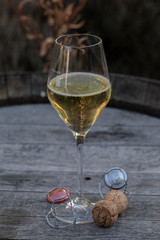 champagne in glass