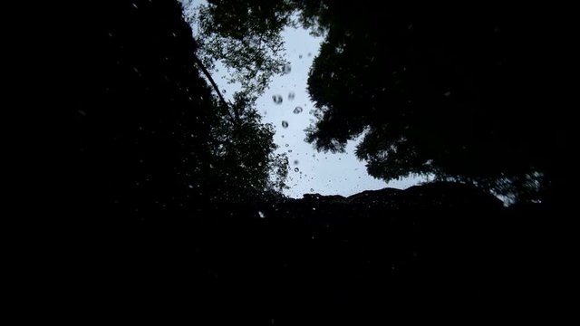 Rain drops falling from sky, rocks and trees on camera - slow motion video