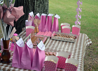 Mesa de cumpleaños infantil en el jardín