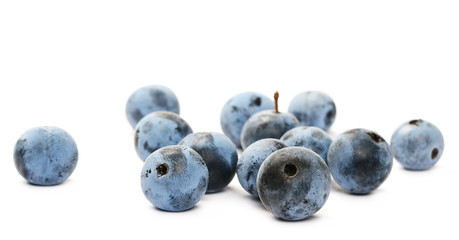 Blackthorn berries isolated on white background