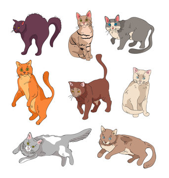 Set of funny cats in different position. Hand made drawing isolated illustration set