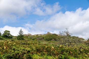 Fototapeta na wymiar Sheepstor in Dartmoor National Park, Devon, UK