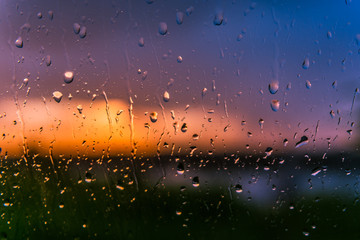 rain drops on window