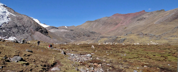 Trekkind dans le Nevado Ausangate, montagne de la cordillère de Vilcanota dans les Andes, au Pérou